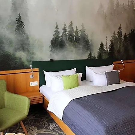Hotel Rennsteig Masserberg